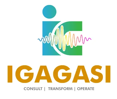 Igagasi Consulting